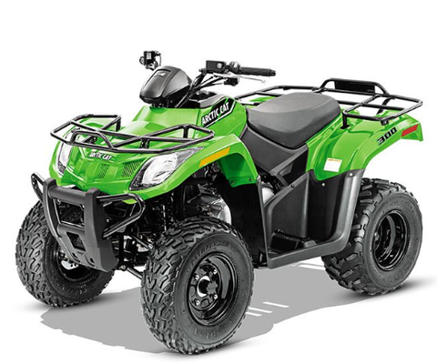 Unlock the full potential of your ARCTIC 2016 CAT 300 Utility ATV with our comprehensive Service Repair Manual. This PDF file is an essential resource for both novice and experienced mechanics, providing detailed instructions and diagrams to ensure your ATV runs smoothly and efficiently.