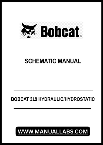 Unlock the full potential of your BOBCAT 319 with our comprehensive Hydraulic/Hydrostatic Schematic Manual in PDF format. This essential resource provides detailed diagrams and schematics, ensuring you have the information needed for effective maintenance and troubleshooting.