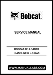 BOBCAT 371 LOADER GASOLINE & L.P. GAS SERVICE MANUAL 6545574 - PDF FILE