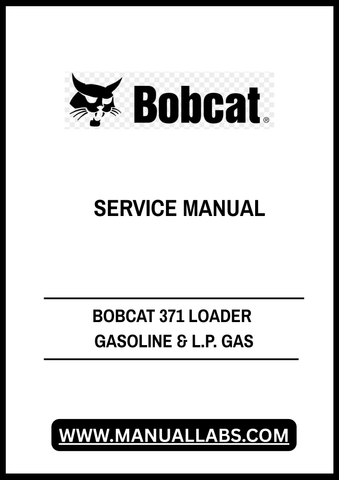 BOBCAT 371 LOADER GASOLINE & L.P. GAS SERVICE MANUAL 6545574 - PDF FILE