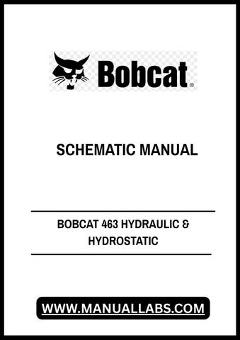 Discover the essential BOBCAT 463 Hydraulic & Hydrostatic Schematic Manual (Part No. 6903711) in a convenient PDF format. This comprehensive manual is designed to provide you with detailed schematics and diagrams, ensuring you have the necessary information at your fingertips for effective maintenance and repairs.