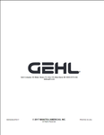 Mustang R105 Gehl & 1050R Loader Repair Manual 