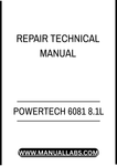 POWERTECH 6081 8.1L NATURAL GAS ENGINE REPAIR TECHNICAL MANUAL - PDF FILE